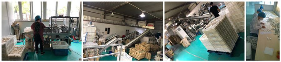 Soap Production Line Soap Production Line