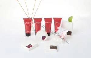 Paper Box Packaging Hotel Amenities Accessories